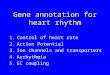 Gene annotation for heart rhythm 1.Control of heart rate 2.Action Potential 3.Ion channels and transporters 4.Arrhythmia 5.EC coupling