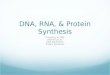 DNA, RNA, & Protein Synthesis Discovery of DNA DNA Structure DNA Replication Protein Synthesis