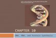 CHAPTER 10 DNA, RNA, and Protein Synthesis 