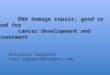 DNA damage repair; good or bad for cancer development and treatment Katsunori Sugimoto nori.sugimoto@rutgers.edu DNA damage repair; good or bad for cancer