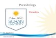 Www.soran.edu.iq Parasitology M. Saadatian Parasites 1