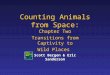 Counting Animals from Space: Chapter Two Transitions from Captivity to Wild Places Scott Bergen & Eric Sanderson