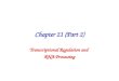 Chapter 21 (Part 2) Transcriptional Regulation and RNA Processing