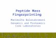 Peptide Mass Fingerprinting Manimalha Balasubramani Genomics and Proteomics Core Laboratories