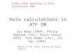 Halo calculations in ATF DR Dou Wang (IHEP), Philip Bambade (LAL), Kaoru Yokoya (KEK), Theo Demma (LAL), Jie Gao (IHEP) FJPPL-FKPPL Workshop on ATF2 Accelerator