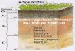 1 Important/significant foundation soil physical properties Color Texture Structure Consistence Coarse fragments Reaction