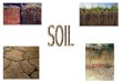 Soil provides… nutrients for plant growth. Soil comes from: Rocks Minerals Decaying Organic Matter