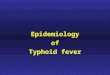 Epidemiology of Typhoid fever. Typhos in Greek means,smoke and typhus fever got its name from smoke that was believed to cause it. Typhoid means typhus-
