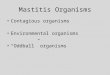 Mastitis Organisms Contagious organisms Environmental organisms “Oddball” organisms