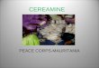 CEREAMINE PEACE CORPS-MAURITANIA. Imagine Combining Health, Ag. and Business