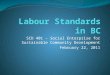 SCD 401 – Social Enterprise for Sustainable Community Development February 22, 2011