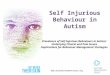 Www.autismtreatmenttrust.org Self Injurious Behaviour in Autism Prevalence of Self Injurious Behaviours in Autism: Underlying Clinical and Pain Issues