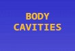 BODY CAVITIES. Spaces within the body containing vital organs Two MAIN Cavities –Dorsal – (posterior) on the back side of the body  Cranial – holds the