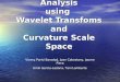 Otolith Shape Analysis using Wavelet Transfoms and Curvature Scale Space Vicenç Parisi Baradad, Joan Cabestany, Jaume Piera Emili Garcia-Ladona, Toni Lombarte