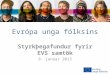 Evrópa unga fólksins Styrkþegafundur fyrir EVS samtök 8. janúar 2013