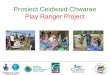 Prosiect Ceidwaid Chwarae Play Ranger Project. Cefndir - Background WAG PlayPrif Negeseuon Main Messages Creating Active Wales Darparieth chwarae of safon