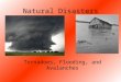 Natural Disasters Tornadoes, Flooding, and Avalanches