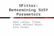 SFitter: Determining SUSY Parameters Rémi Lafaye, Tilman Plehn, Michael Rauch, Dirk Zerwas