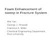Foam Enhancement of sweep in Fracture System Wei Yan George J. Hirasaki Clarence A. Miller Chemical Engineering Department, Rice University