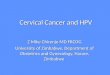 Cervical Cancer and HPV Z Mike Chirenje MD FRCOG University of Zimbabwe, Department of Obstetrics and Gynecology, Harare, Zimbabwe