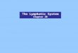 The Lymphatic System Chapter 20. Figure 20.1 The Lymphatic System Lymphatic System - Series of vessels, tissues and organs performing 2 major functions: