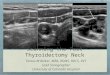 Scanning the Post Thyroidectomy Neck Teresa M Bieker, MBA, RDMS, RDCS, RVT Lead Sonographer University of Colorado Hospital
