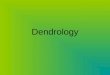 Dendrology. The study of dendrology includes tree: Identification Characteristics Taxonomy Ecology
