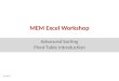 MEM Excel Workshop Advanced Sorting Pivot Table Introduction 4.5.2012