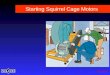 Seminar Starting Squirrel Cage Motors March 99. Electronic soft starters Part PresentationSlides 1 Starting AC Motors 3 - 22 2 Electronic soft starters