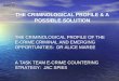 THE CRIMINOLOGICAL PROFILE & A POSSIBLE SOLUTION THE CRIMINOLOGICAL PROFILE OF THE E- CRIME CRIMINAL AND EMERGING OPPORTUNITIES: DR ALICE MAREE A TASK