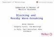 Blocking and Rossby Wave-breaking Brian Hoskins Vangelis Tyrlis, Tim Woollings Jo Pelly, Paul Berrisford, Mike Blackburn Department of Meteorology Symposium