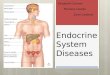 Endocrine System Diseases Elizabeth Carreon Mariana Castillo Zaira Cardona