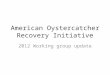 American Oystercatcher Recovery Initiative 2012 Working group update
