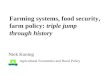 Farming systems, food security, farm policy: triple jump through history Niek Koning Agricultural Economics and Rural Policy