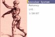 Muscular System Mahoney LHS 1/20/07. Function of Muscles  Produce movement  Maintain posture  Stabilize joints  Generate heat