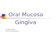 Dr Jamal Naim PhD in Orthodontics Oral Mucosa Gingiva