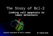 The Story of Bcl-2 Linking cell apoptosis to tumor metastasis Crystal structure of Bcl-2 complex By Yaming Wang