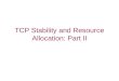 TCP Stability and Resource Allocation: Part II. Issues with TCP Round-trip bias Instability under large bandwidth-delay product Transient performance
