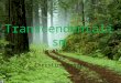 Transcendentalism By: Heather Edelman And Christina Retana