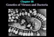 Chapter 18 Genetics of Viruses and Bacteria. Viruses: are much smaller than bacteria consist of a genome in a protective coat reproduce only within host