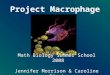 Project Macrophage Math Biology Summer School 2008 Jennifer Morrison & Caroline Séguin