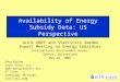 Availability of Energy Subsidy Data: US Perspective Joint UNEP and Statistics Sweden Expert Meeting on Energy Subsidies International Environment House,