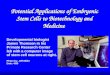 Potential Applications of Embryonic Stem Cells to Biotechnology and Medicine Developmental biologist James Thomson in his Primate Research Center lab with