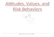 Attitudes, Values, and Risk Behaviors Safety 4900 Summer 2008