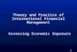 1 Theory and Practice of International Financial Management Assessing Economic Exposure