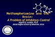 Methamphetamine and the Brain: A Problem of Inhibitory Control Edythe D. London, Ph.D. David Geffen School of Medicine, UCLA