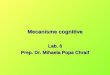 Mecanisme cognitive Lab. 6 Prep. Dr. Mihaela Popa Chraif