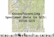Georeferencing Specimen Data in GIS: DIVA-GIS. Spatial Data Models VectorRaster Points, Lines & PolygonsGrid-based, including Photos