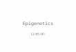 Epigenetics 12/05/07. Epigenetic regulation is critical for cell differentiation