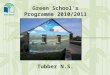 Green School’s Programme 2010/2011 Tubber N.S.. Our Green School Committee Our Green School Committee was formed in October 2009 and is made up of Ann